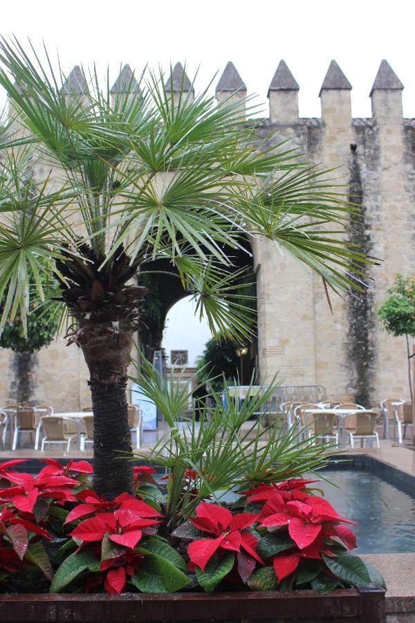 Loft Turistico En Casco Historico, Wifi Y Tv Satelite Gratis Διαμέρισμα Κόρδοβα Εξωτερικό φωτογραφία