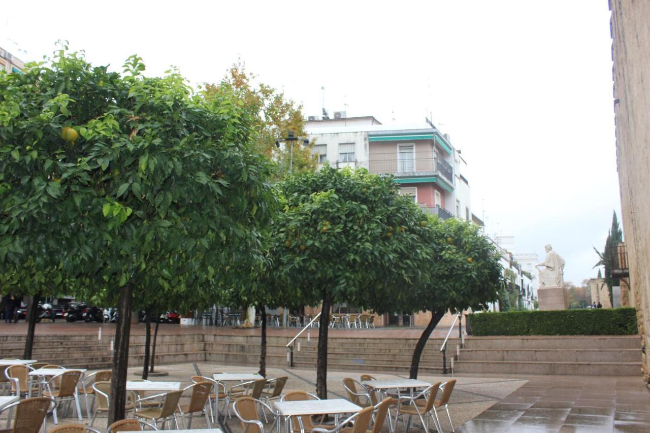 Loft Turistico En Casco Historico, Wifi Y Tv Satelite Gratis Διαμέρισμα Κόρδοβα Εξωτερικό φωτογραφία