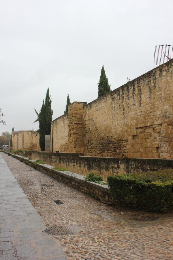 Loft Turistico En Casco Historico, Wifi Y Tv Satelite Gratis Διαμέρισμα Κόρδοβα Εξωτερικό φωτογραφία
